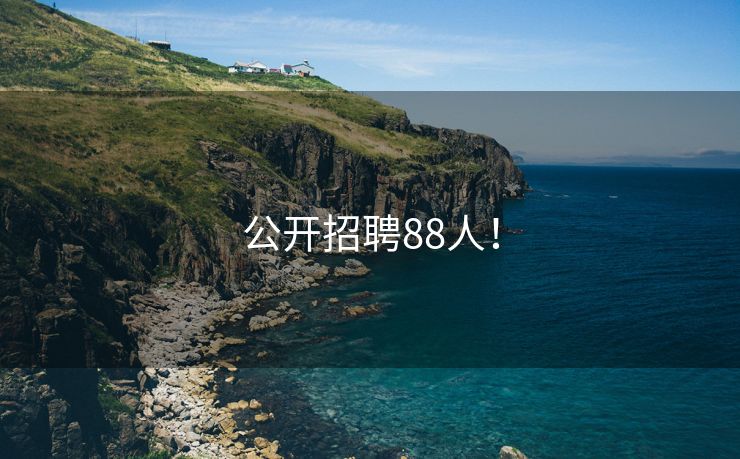 公开招聘88人！