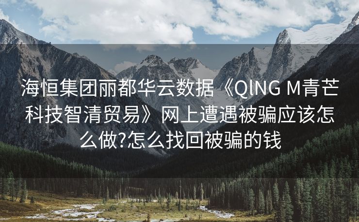 海恒集团丽都华云数据《QlNG M青芒科技智清贸易》网上遭遇被骗应该怎么做?怎么找回被骗的钱