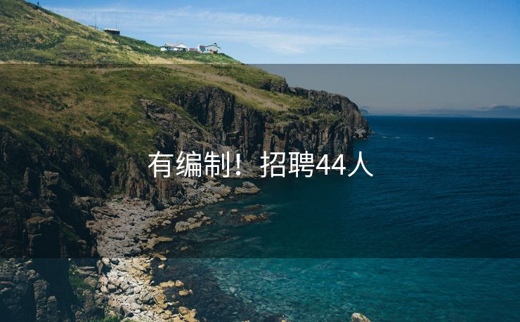 有编制！招聘44人