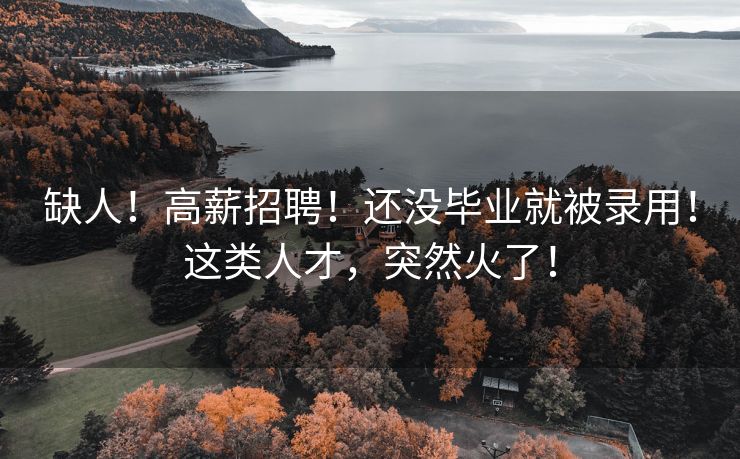 缺人！高薪招聘！还没毕业就被录用！这类人才，突然火了！