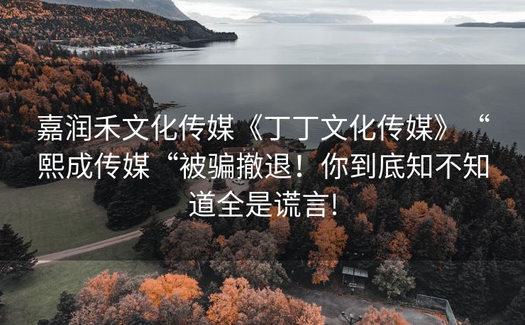 嘉润禾文化传媒《丁丁文化传媒》“熙成传媒“被骗撤退！你到底知不知道全是谎言!
