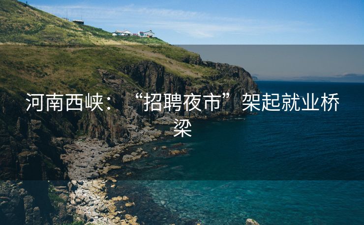 河南西峡：“招聘夜市”架起就业桥梁