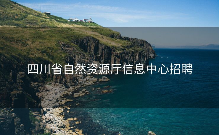 四川省自然资源厅信息中心招聘