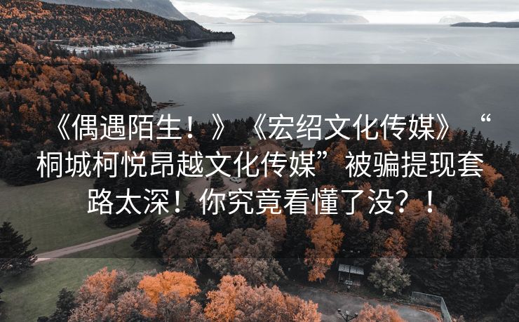 《偶遇陌生！》《宏绍文化传媒》“桐城柯悦昂越文化传媒”被骗提现套路太深！你究竟看懂了没？！