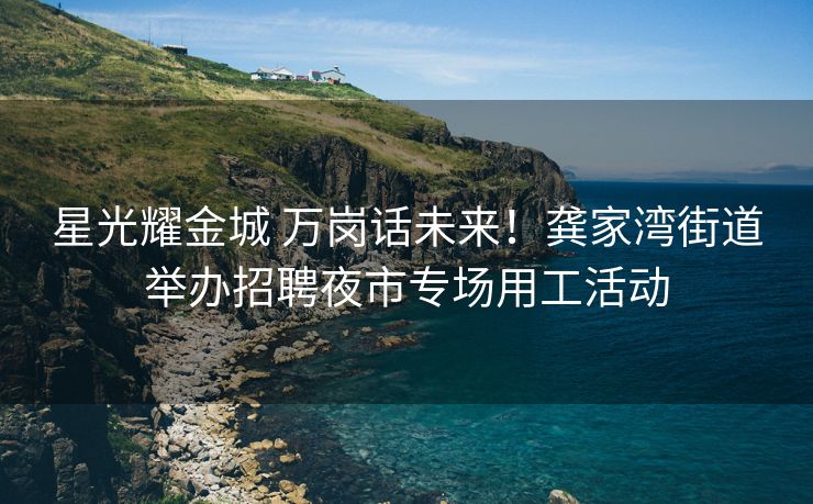 星光耀金城 万岗话未来！龚家湾街道举办招聘夜市专场用工活动