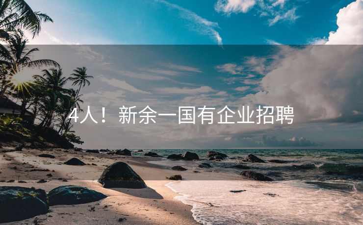 4人！新余一国有企业招聘