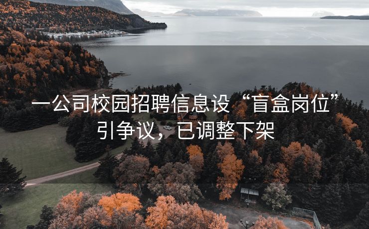 一公司校园招聘信息设“盲盒岗位”引争议，已调整下架