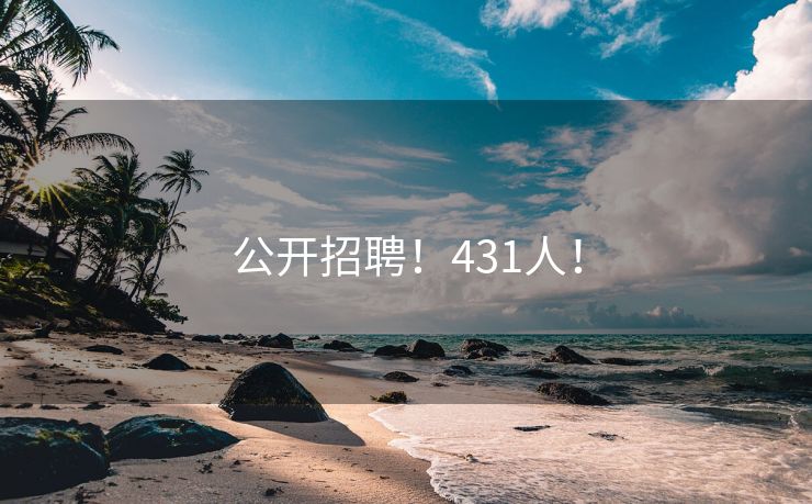 公开招聘！431人！