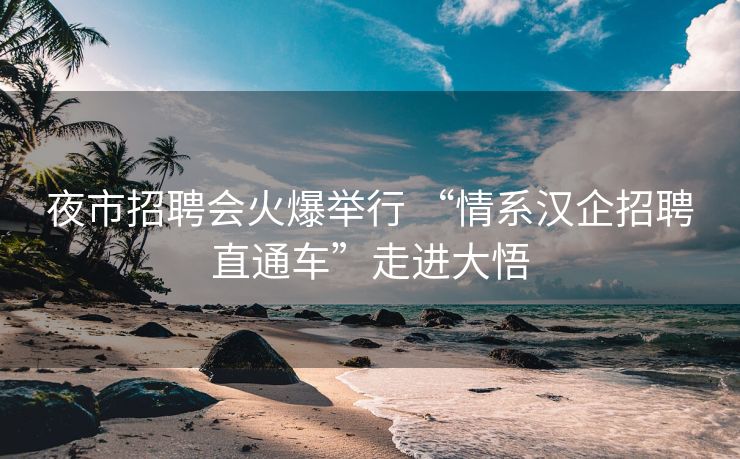 夜市招聘会火爆举行 “情系汉企招聘直通车”走进大悟