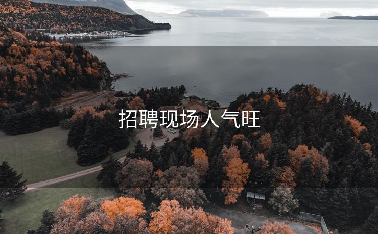 招聘现场人气旺