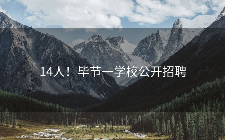 14人！毕节一学校公开招聘