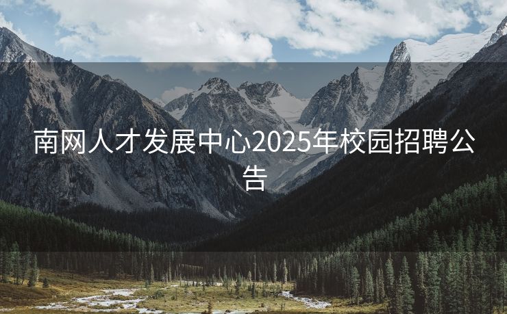 南网人才发展中心2025年校园招聘公告