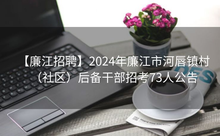 【廉江招聘】2024年廉江市河唇镇村（社区）后备干部招考73人公告
