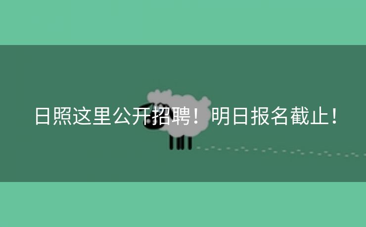 日照这里公开招聘！明日报名截止！