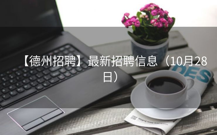 【德州招聘】最新招聘信息（10月28日）