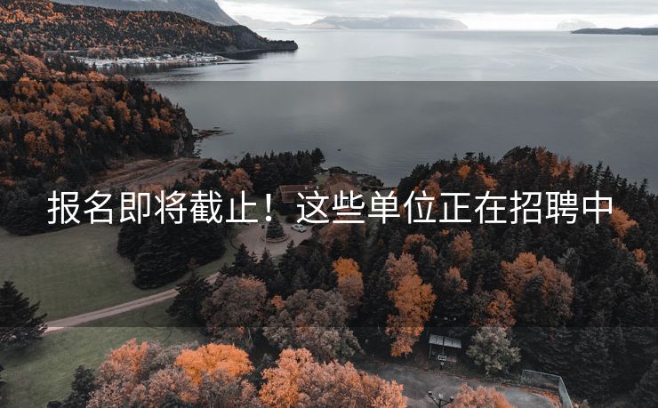 报名即将截止！这些单位正在招聘中