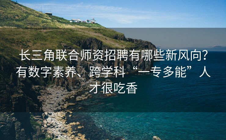 长三角联合师资招聘有哪些新风向？有数字素养、跨学科“一专多能”人才很吃香