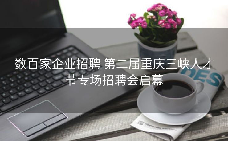 数百家企业招聘 第二届重庆三峡人才节专场招聘会启幕