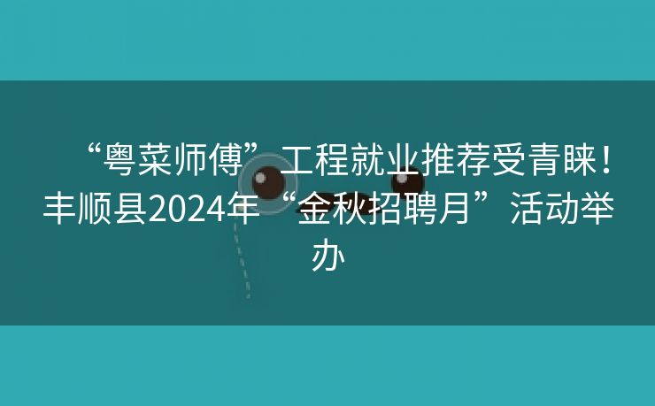 “粤菜师傅”工程就业推荐受青睐！丰顺县2024年“金秋招聘月”活动举办
