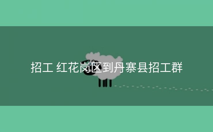 招工 红花岗区到丹寨县招工群
