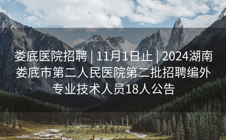 娄底医院招聘 | 11月1日止 | 2024湖南娄底市第二人民医院第二批招聘编外专业技术人员18人公告