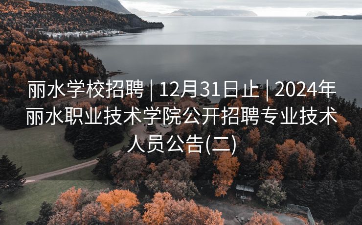 丽水学校招聘 | 12月31日止 | 2024年丽水职业技术学院公开招聘专业技术人员公告(二)