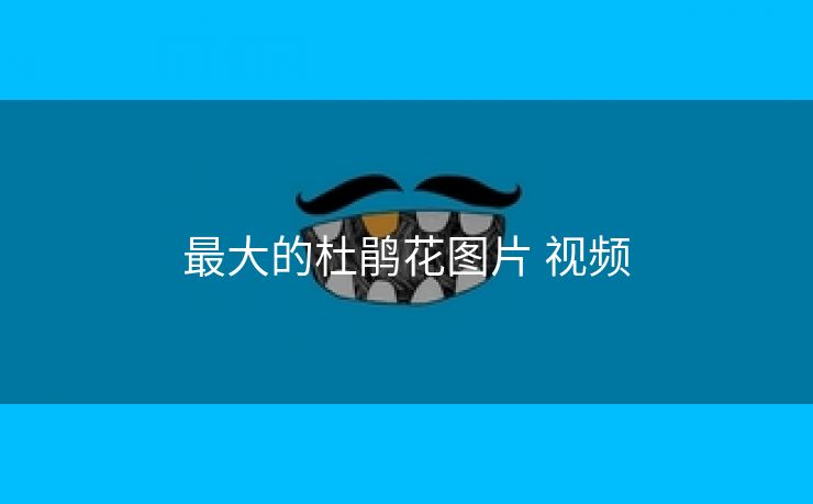 最大的杜鹃花图片 视频