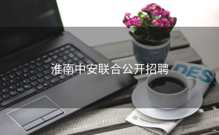 淮南中安联合公开招聘