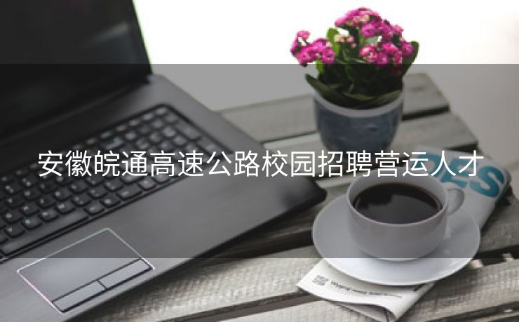 安徽皖通高速公路校园招聘营运人才