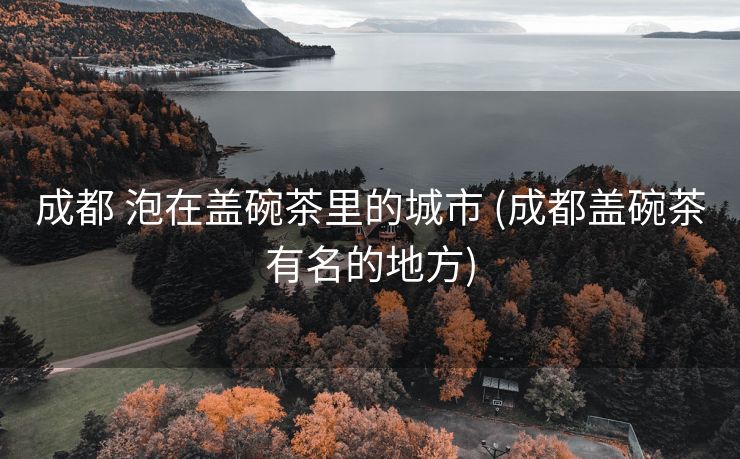成都 泡在盖碗茶里的城市 (成都盖碗茶有名的地方)