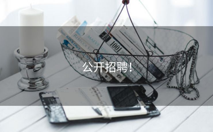公开招聘！
