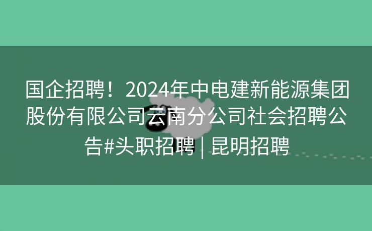 国企招聘！2024年中电建新能源集团股份有限公司云南分公司社会招聘公告#头职招聘 | 昆明招聘