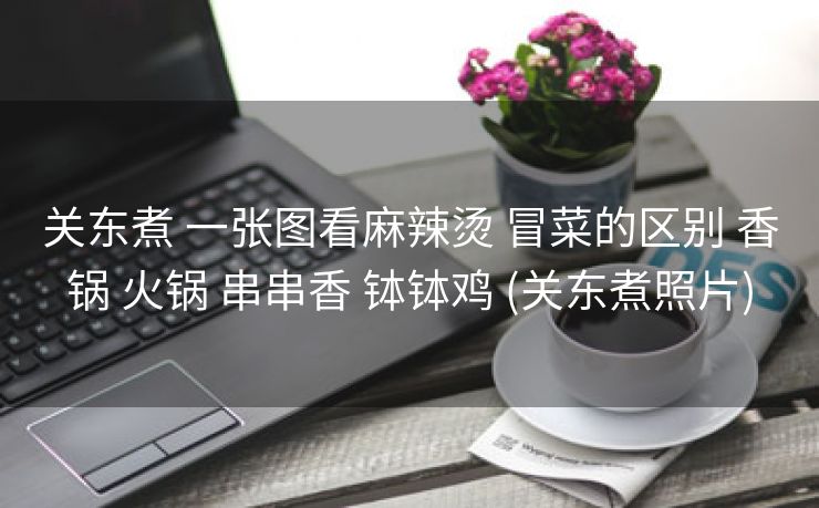 关东煮 一张图看麻辣烫 冒菜的区别 香锅 火锅 串串香 钵钵鸡 (关东煮照片)