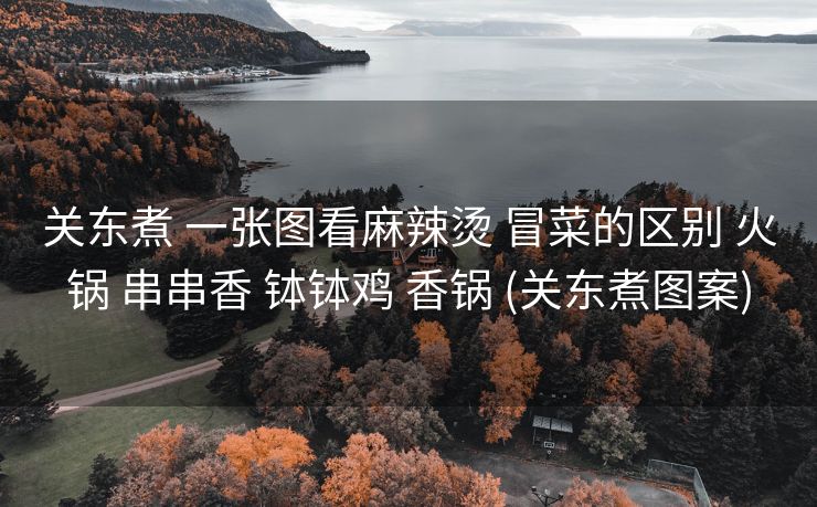 关东煮 一张图看麻辣烫 冒菜的区别 火锅 串串香 钵钵鸡 香锅 (关东煮图案)