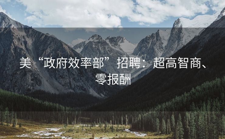 美“政府效率部”招聘：超高智商、零报酬