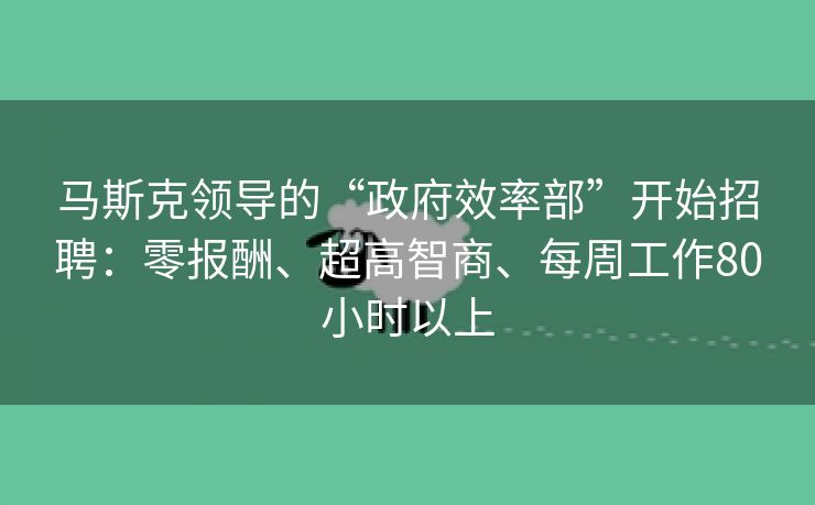 马斯克领导的“政府效率部”开始招聘：零报酬、超高智商、每周工作80小时以上