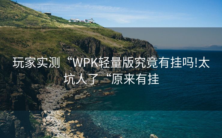 玩家实测“WPK轻量版究竟有挂吗!太坑人了“原来有挂