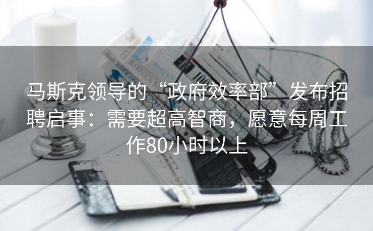 马斯克领导的“政府效率部”发布招聘启事：需要超高智商，愿意每周工作80小时以上