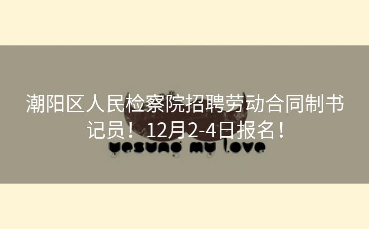 潮阳区人民检察院招聘劳动合同制书记员！12月2-4日报名！