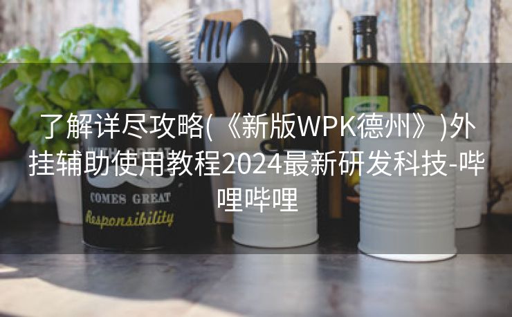 了解详尽攻略(《新版WPK德州》)外挂辅助使用教程2024最新研发科技-哔哩哔哩