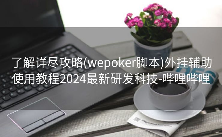 了解详尽攻略(wepoker脚本)外挂辅助使用教程2024最新研发科技-哔哩哔哩
