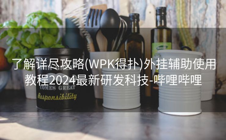 了解详尽攻略(WPK得扑)外挂辅助使用教程2024最新研发科技-哔哩哔哩