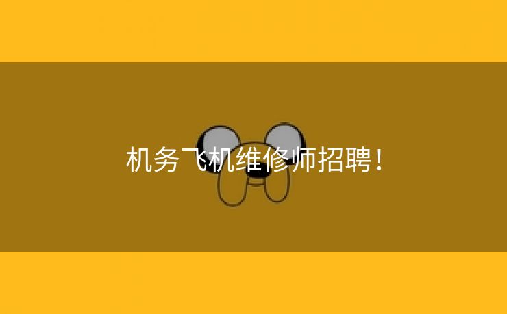 机务飞机维修师招聘！