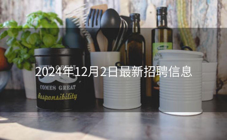 2024年12月2日最新招聘信息