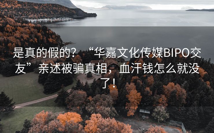 是真的假的？“华嘉文化传媒BIPO交友”亲述被骗真相，血汗钱怎么就没了！