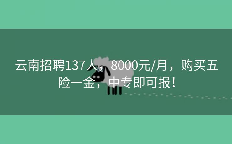 云南招聘137人，8000元/月，购买五险一金，中专即可报！
