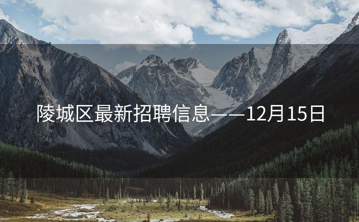 陵城区最新招聘信息——12月15日