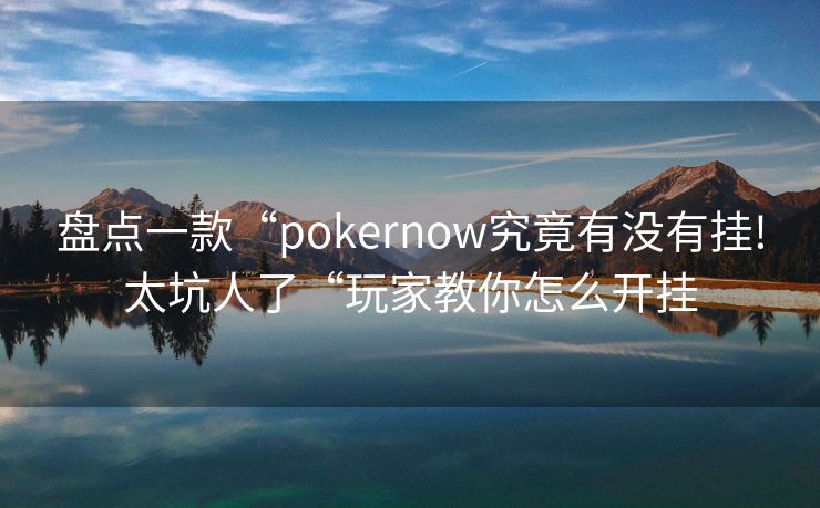 盘点一款“pokernow究竟有没有挂!太坑人了“玩家教你怎么开挂