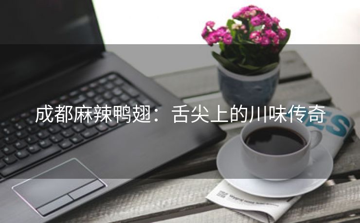 成都麻辣鸭翅：舌尖上的川味传奇