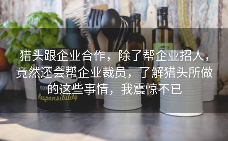 猎头跟企业合作，除了帮企业招人，竟然还会帮企业裁员，了解猎头所做的这些事情，我震惊不已